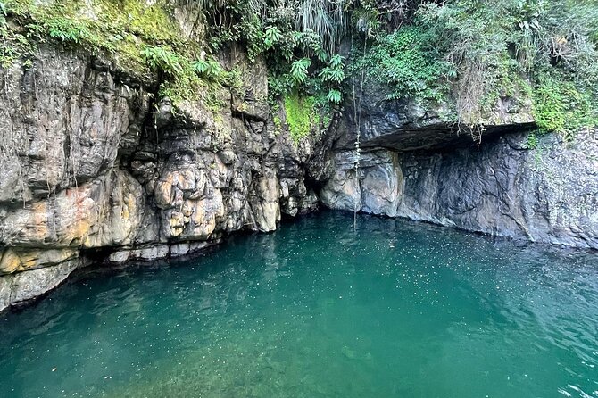 Toro Negro River Hike & Cliff Jumping Adventure; San Juan Pick Up - Why Toro Negro Beats a Typical Beach Day