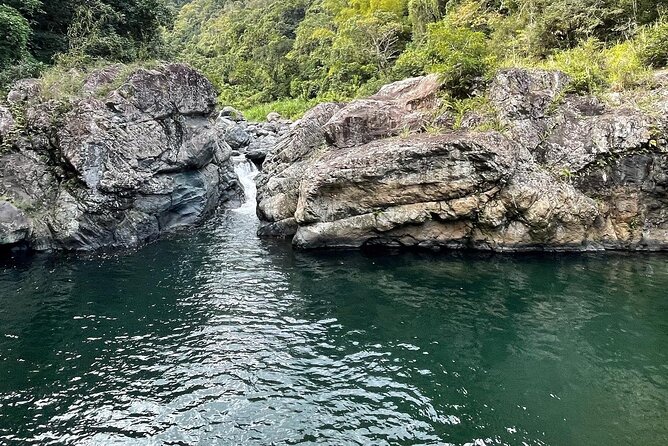 Toro Negro River Hike & Cliff Jumping Adventure; San Juan Pick Up - Guides, Safety Gear, and Small Group Energy