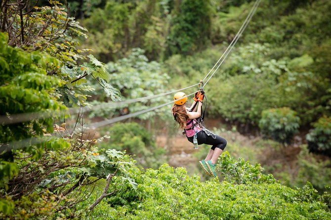 Toro Verde 7-Zipline Tour Plus the Beast with Pickup - Who this tour suits, and who should pass