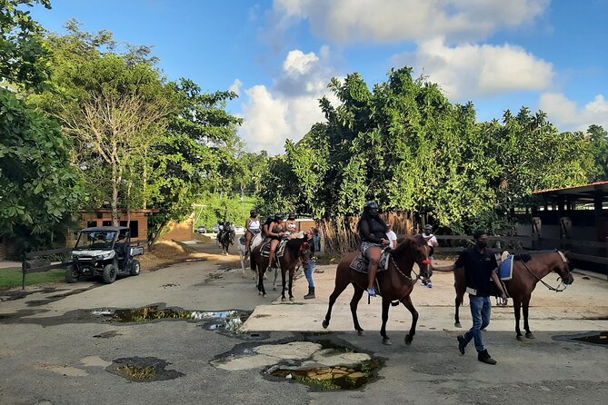 Transfer from San Juan to Ceiba Ferry or Ceiba to San Juan - Who This Transfer Best Fits (and Who Might Rethink It)