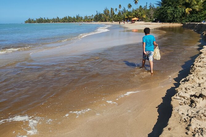Transportation from San Juan to Ceiba ferry or airport - The Ride Details: Comfort, Air-Conditioning, and Getting There Calm