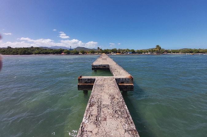 Transportation from San Juan to Ceiba ferry or airport - Small Rules That Matter: Seats, Pets, and No-Extra-Stop Transport