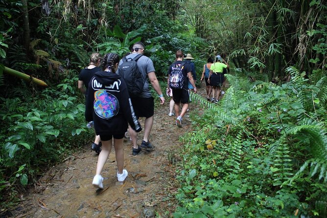 Trio Tour: El Yunque, Luquillo Beach, and Bio Bay Night Kayaking - Price and Value: Is $155 Worth It for Two Big Nature Hits?