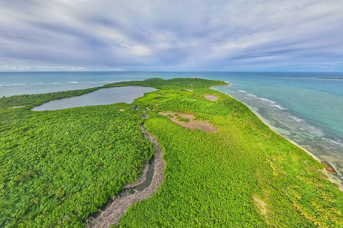 Trio Tour: El Yunque, Luquillo Beach, and Bio Bay Night Kayaking - What’s Included, What’s Not, and the Gear That Can Save Your Day