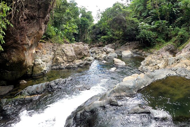 Trio Tour: El Yunque, Luquillo Beach, and Bio Bay Night Kayaking - Rain, Mud, and Glow Expectations: Managing the Most Common Letdowns