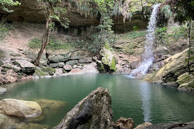 Tropical Rainforest Luxury Experiences - Price and Logistics: what $100 gets you in Puerto Rico