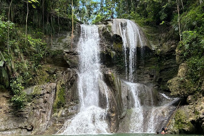 Tropical Rainforest Luxury Experiences - From Isla Verde pickup to a smooth AC ride in 2024 comfort