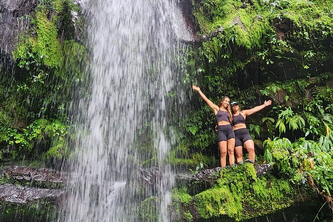 Tropical Rainforest Wonders Full Day Experience from San Juan - La Piedra Escrita and the 1,000-Year Petroglyph Rock Pond