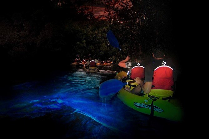 Two-in-One Day Trip: El Yunque and Bio Bay Tour with Transport - Key Points to Know Before You Go