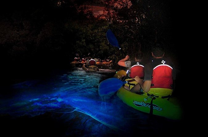 Two-in-One Day Trip: El Yunque and Bio Bay Tour with Transport - Waterfalls, Slides, Swings, and Jumps: The Part You Need to Take Seriously