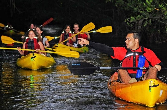 Two-in-One Day Trip: El Yunque and Bio Bay Tour with Transport - Laguna Grande After Sunset: Kayaking Through Mangroves