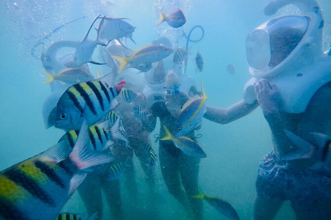 Underwater Sea Trek in San Juan: Explore Beneath the Waves - After the Trek: Learning on the Beach and Getting Your Bay-Level Souvenirs