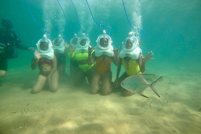 Underwater Sea Trek in San Juan: Explore Beneath the Waves - Guides Make or Break It: Why people keep mentioning Carlos, Luis, Jorge, Zach, and Matthew
