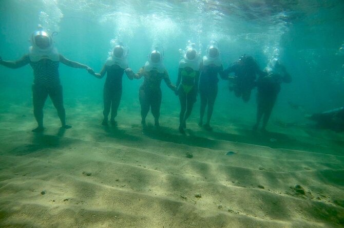 Underwater Sea Trek in San Juan: Explore Beneath the Waves - Marine Life Details: What You Might See and Why Conditions Matter
