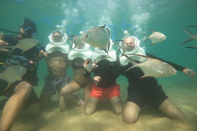 Underwater Sea Trek in San Juan: Explore Beneath the Waves - Price and Value: Is $114.84 Worth It?