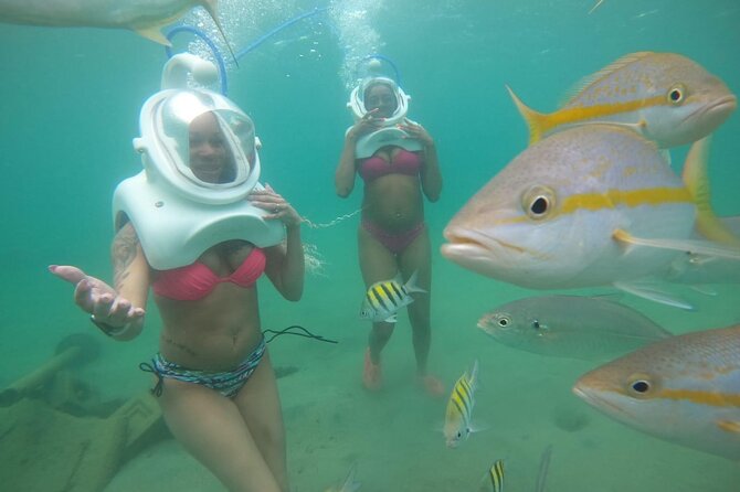 Underwater Sea Trek in San Juan: Explore Beneath the Waves - Where You Start at Caribe Hilton and What Happens Before You Step In