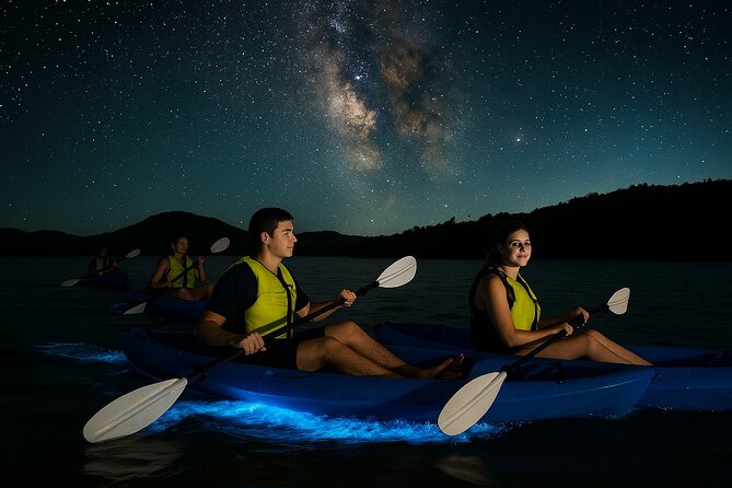 Unforgettable One Day Bioluminescent Kayak Adventure in Vieques - Key highlights