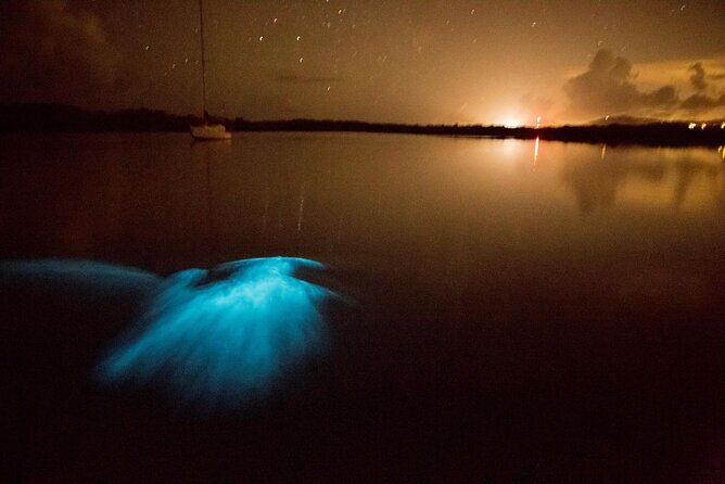 Unforgettable One Day Bioluminescent Kayak Adventure in Vieques - Mosquito Bay magic: what makes this kayak different at night