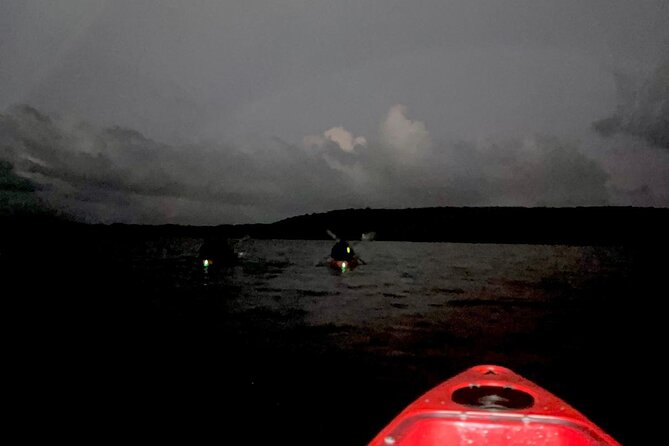 Unforgettable One Day Bioluminescent Kayak Adventure in Vieques - Guides, group size, and the pace: safety first, then wonder