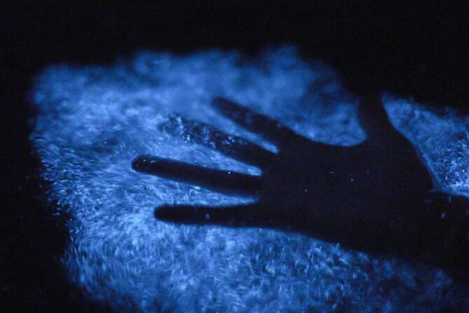 Unforgettable One Day Bioluminescent Kayak Adventure in Vieques - Moon phase, timing, and when this tour is at its best