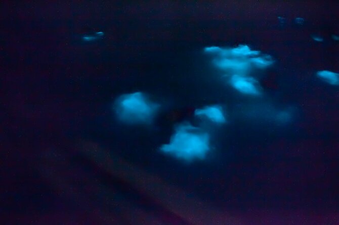 Unforgettable One Day Bioluminescent Kayak Adventure in Vieques - The 90-minute format: what you are really doing in the dark
