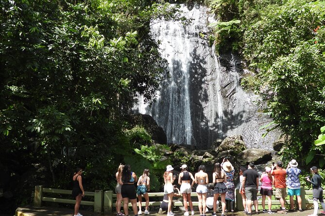 USDA El Yunque National Forest and Luquillo Beach Tour - Key highlights worth your attention