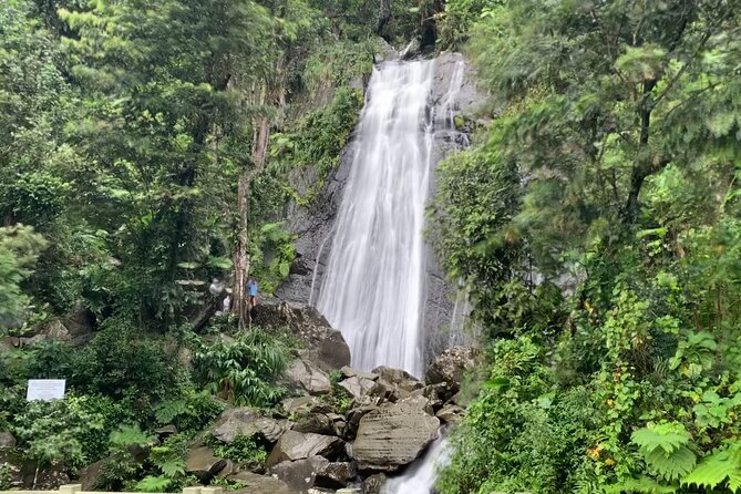 USDA El Yunque National Forest and Luquillo Beach Tour - How the 9:00 am San Juan half-day tour actually plays out
