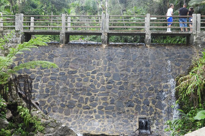 USDA El Yunque National Forest and Luquillo Beach Tour - Guides make it feel personal: Raphael, Angel, and the commentary style