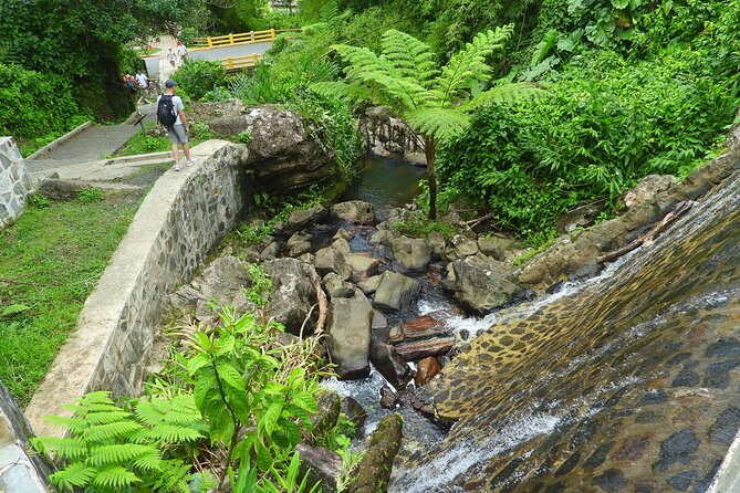 USDA El Yunque National Forest and Luquillo Beach Tour - Price and value: what $79 buys you in real terms