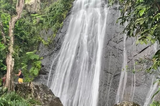 USDA El Yunque National Forest and Luquillo Beach Tour - Catarata La Coca: a quick 30-minute waterfall stop with big height