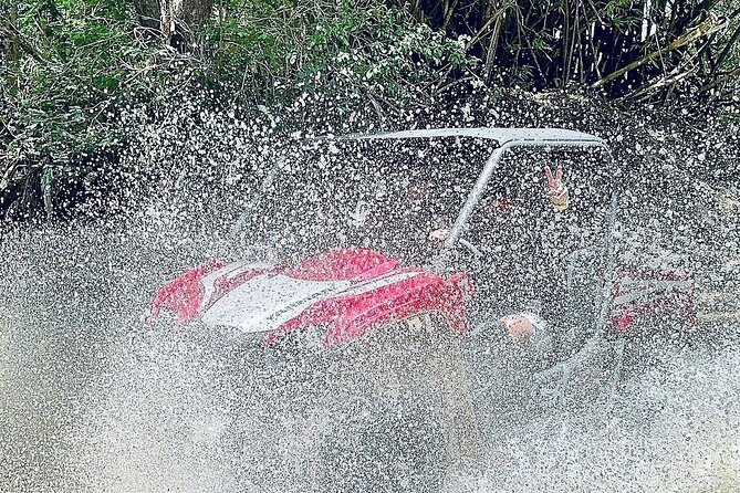 UTV adventure in Naguabo Puerto Rico 50 minutes trip 80 acres - Getting There: La Finca in Naguabo, and How Timing Affects the Day
