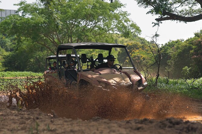 UTV adventure in Naguabo Puerto Rico 50 minutes trip 80 acres - UTV Condition and Terrain Difficulty: Fun, With One Real Caveat