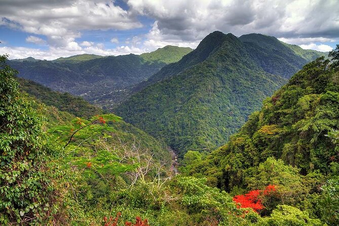 UTV and Can-Am Sightseeing Tours in Puerto Rico - The Value Question: Is $55 Worth It?