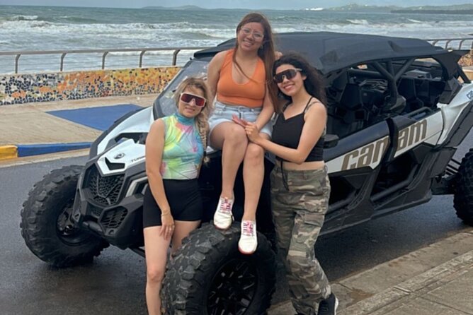 UTV and Can-Am Sightseeing Tours in Puerto Rico - Who This UTV Tour Suits Best