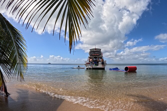 Vieques All-Inclusive: Swim with Turtles & Enjoy Pristine Beaches - Key things to know before you go