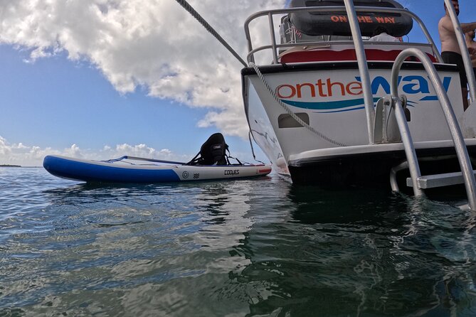 Vieques All-Inclusive: Swim with Turtles & Enjoy Pristine Beaches - Getting to the marina: the check-in trick I’d follow