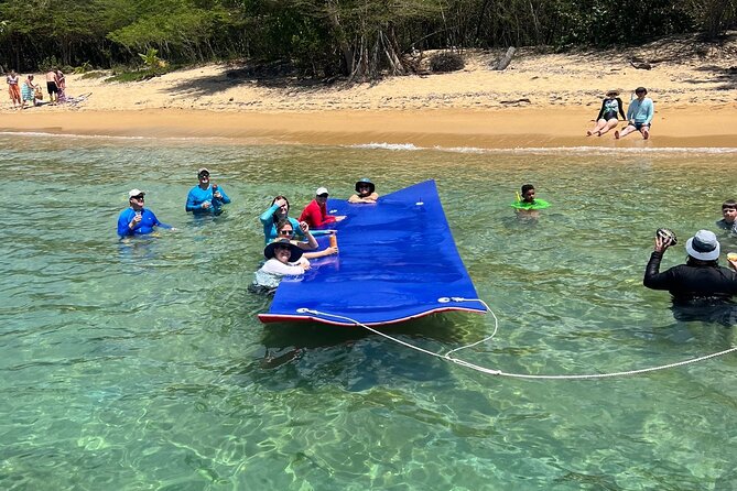 Vieques All-Inclusive: Swim with Turtles & Enjoy Pristine Beaches - Beach time and tropical drinks: plan for relaxed, not rushed