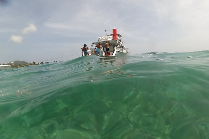 Vieques All-Inclusive: Swim with Turtles & Enjoy Pristine Beaches - Price check: does $185 feel like good value?