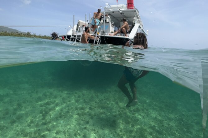 Vieques All-Inclusive: Swim with Turtles & Enjoy Pristine Beaches - Who should book this and who should skip it