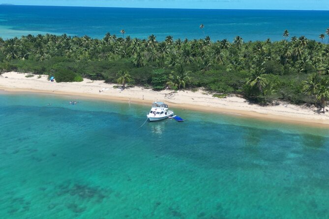 Vieques All-Inclusive: Swim with Turtles & Enjoy Pristine Beaches - Practical tips to make the most of a 6-hour ocean day