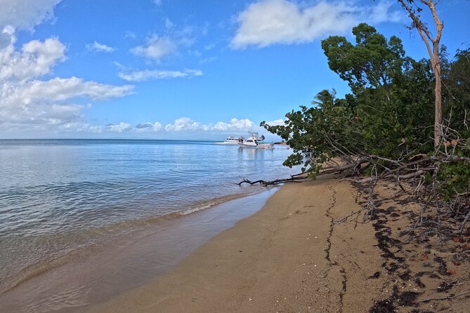 Vieques All-Inclusive: Swim with Turtles & Enjoy Pristine Beaches - Snorkeling around Vieques: the reef time that drives the whole day