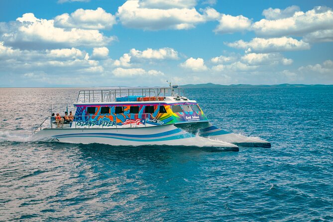 Vieques: Beach and Snorkeling Tour by Catamaran from Fajardo - Lunch, Rum Punch, and the Included Drinks You Can Count On