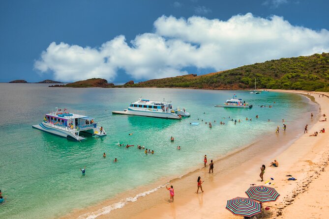 Vieques: Beach and Snorkeling Tour by Catamaran from Fajardo - Should You Book This Vieques Tour From Fajardo?