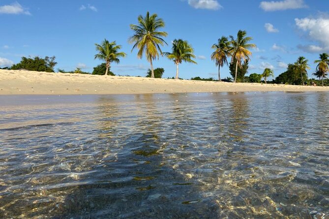Vieques Bio Bay Tour and Beach Day Trip from San Juan by Ferry - San Juan Pickup and the Ceiba Setup