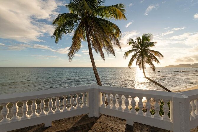 Vieques Bio Bay Tour and Beach Day Trip from San Juan by Ferry - Ceiba Ferry Crossing: The Part That Sets the Mood
