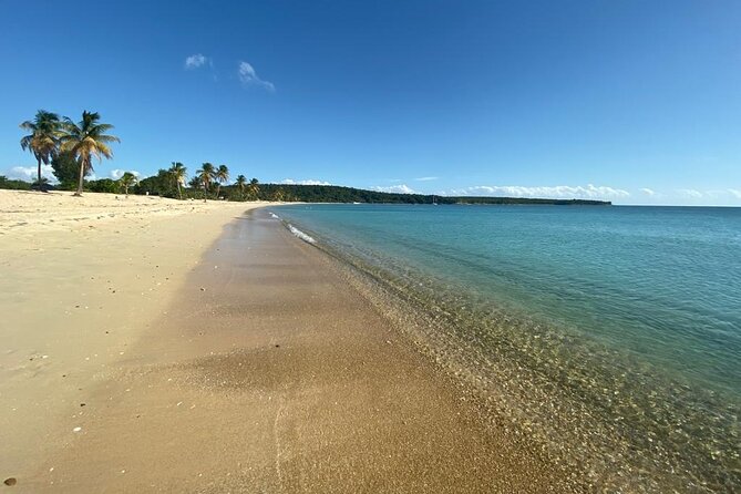 Vieques Bio Bay Tour and Beach Day Trip from San Juan by Ferry - Timing, Moon Phase, and Getting the Glow You Came For
