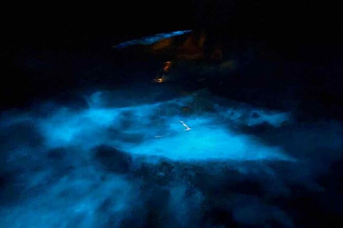 Vieques island Biobay Kayaking Tour - Key things to know before you go