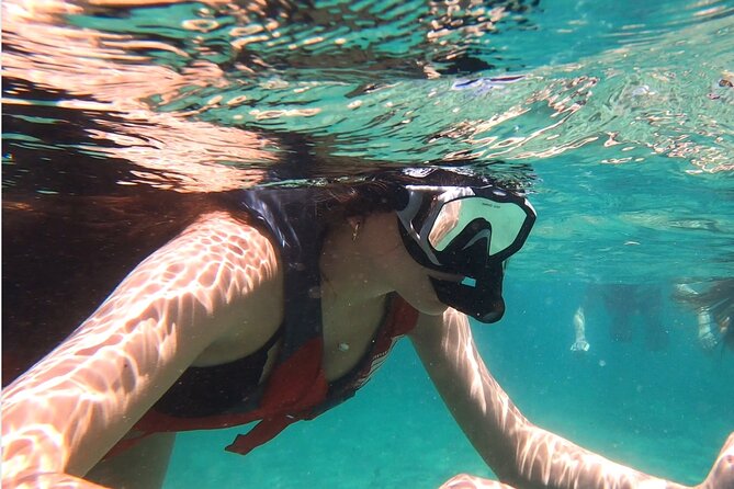 VIP San Juan: Snorkeling Tour with Turtles with Free Videos - Green Sea Turtles, Not a Boat Tour, in San Juan