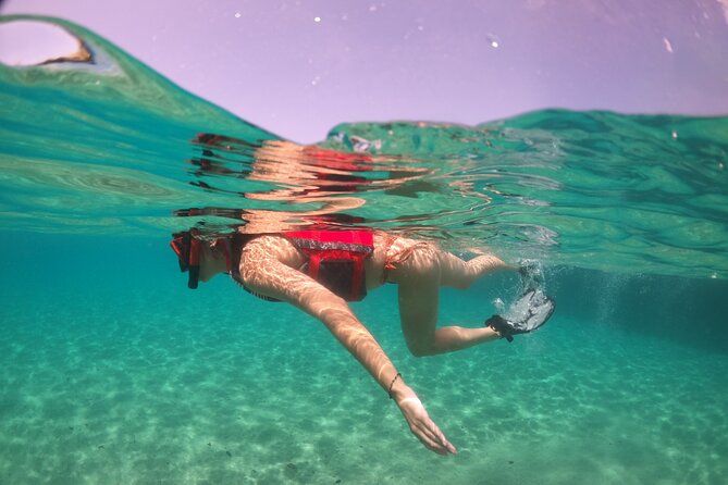 VIP San Juan: Snorkeling Tour with Turtles with Free Videos - Gear Comfort, Small Glitches, and How Guides Handle Them