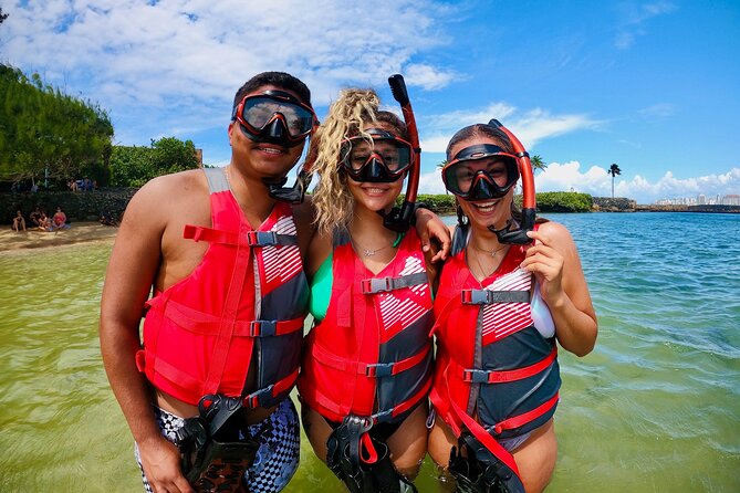 VIP San Juan: Snorkeling Tour with Turtles with Free Videos - Price and Value: What $80 Gets You, and What It Does Not
